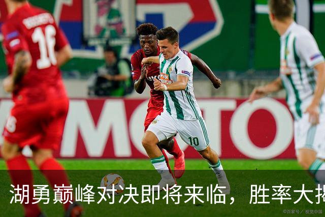 湖勇巅峰对决即将来临，胜率大揭秘！